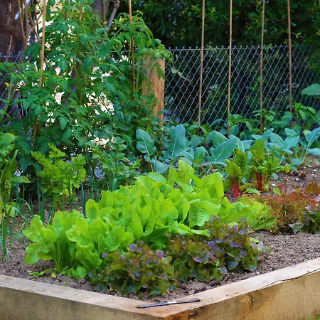 B&borgo Bed & Breakfast Ascona