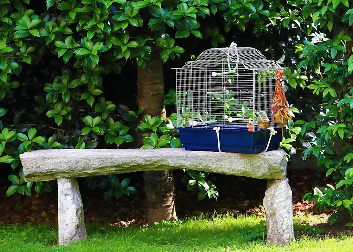 Nocleg ze śniadaniem B&borgo *