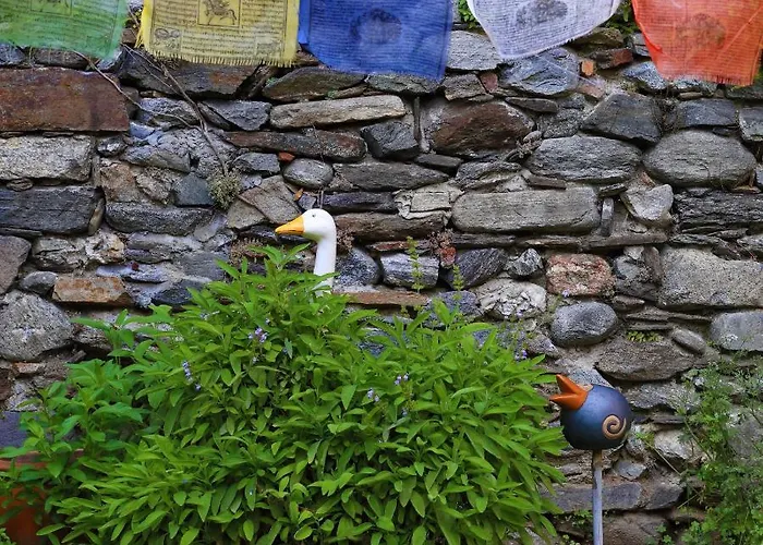 B&borgo Nocleg ze śniadaniem Ascona