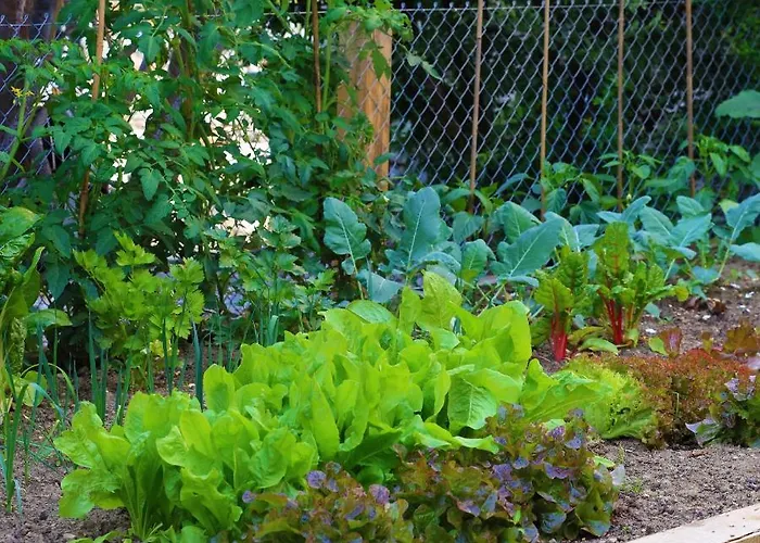 B&borgo B&B 아스꼬나